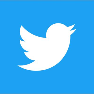 Twitter logo of a white bird on a blue square background.